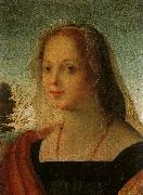 Rosso Fiorentino Portrait of a Young Woman painting